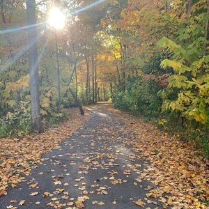 Meet your Posher, Sadia